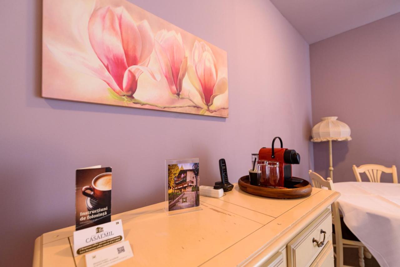 Boutique Hotel Casa Emil Brassópojána Kültér fotó